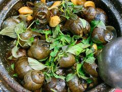 -田螺先生畲江特色田螺煲(建设路总店)