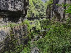 -鹿院坪生态旅游景区