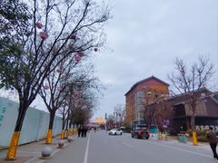 -茯茶镇