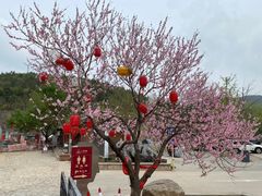 -八奇洞景区