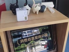 -伟伟宠物医院·瑞派猫友好医院·猫科(光谷店)