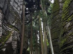 -梭布垭石林景区