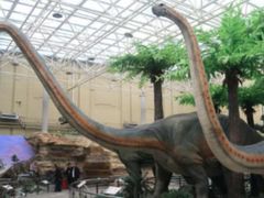 -国家自然博物馆