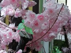 -学习谷日语培训日本留学·多语种外语教学(海淀人大分部)