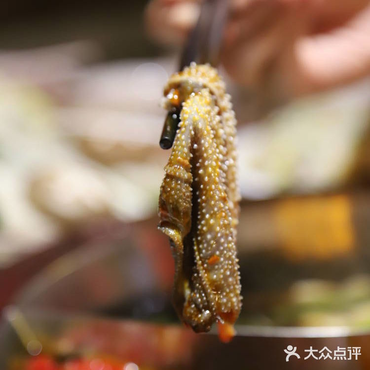 大龙燚