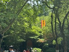 -杭州黄龙洞