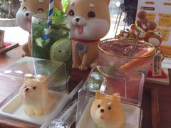 薄荷柠檬-柴犬高等学院·狗咖·柴犬售卖·宠物训练