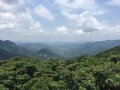 -广州市石门国家森林公园