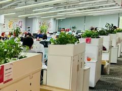 -天鹅到家·保姆月嫂育儿嫂(总店)