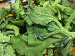 -龍歌自助小火锅(城阳万象汇店)