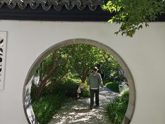 -上海醉白池公园