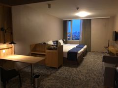 -北京民族园葉子里酒店(鸟巢店)