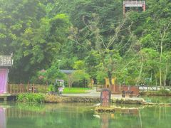 -靖西鹅泉风景区