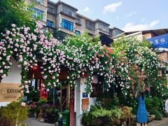 -全有福烙锅店小院