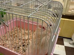 -龙猫仔乐园(惠福东路店)