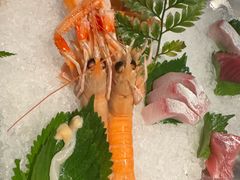 -Mr.Fish鱼鲜生海鲜放题(高德置地冬广场店)