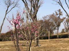-郑东新区龙湖公共艺术中心