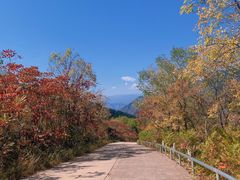 -白草畔自然风景区