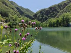 -百里山水画廊