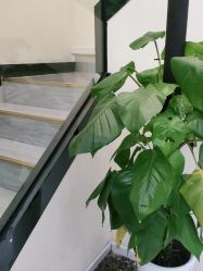 -苗医生草本科技祛痘