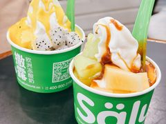 -Salud撒露欧洲冻酸奶(蓝色港湾店)