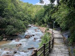 -广州白江湖森林公园