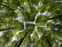-山王坪喀斯特国家生态公园