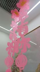 -时光畔·酷雪·痘肌