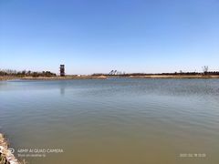 -春花秋色城市公园