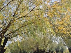 -汉长安城未央宫国家考古遗址公园