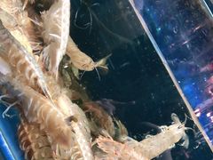 -蓝珊甄选海鲜自助·火锅大排档(近阿那亚店)