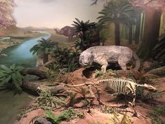 -湖南省地质博物馆