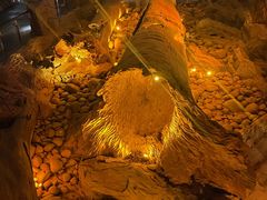 -乐山乌木文化博览苑