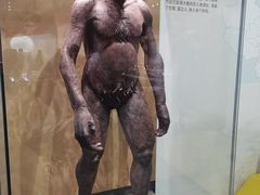 -天津自然博物馆