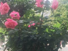 -花溪公园