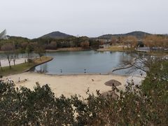 -上海佘山世茂艾美酒店
