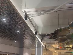 -探窝·竹笙椰子鸡(杨箕店)