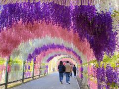 -沈阳鸟岛