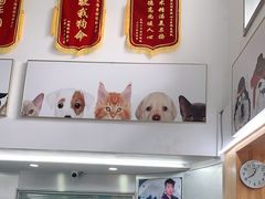 -爱侣宠医·鹦鹉专科·小型哺乳类·异宠专科(灵石路店)