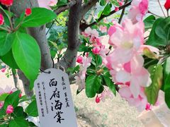 -元大都城垣遗址公园