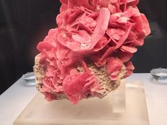 -湖南省地质博物馆