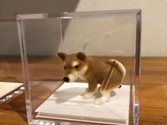 -柴务处·柴犬主题狗咖