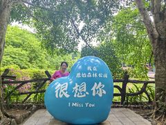 -西双版纳原始森林公园