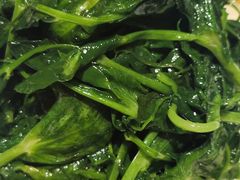 清炒豌豆尖-眉州东坡(远洋未来广场店)