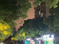 -康源四季推拿足道(罗秀店)