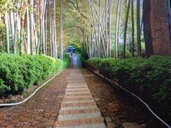 -故乡缘·香格里拉山庄(冷竹路店)