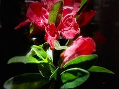 -中国湿地博物馆