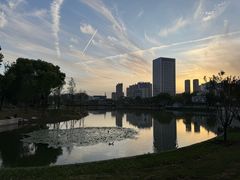 -后襄河公园