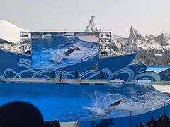 -上海海昌海洋公园