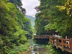 -龙水峡地缝景区